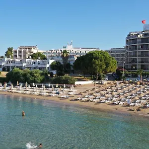 Orion Didim