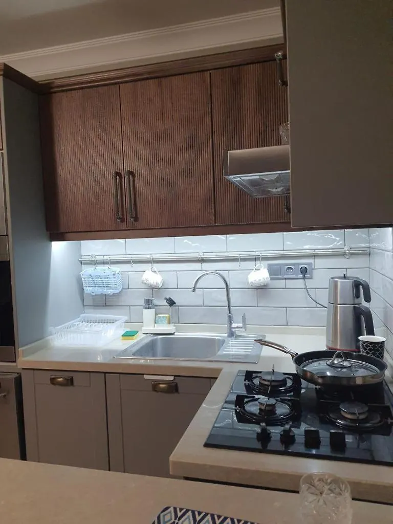 Arife Terrace Residance No1 Apartment Didim